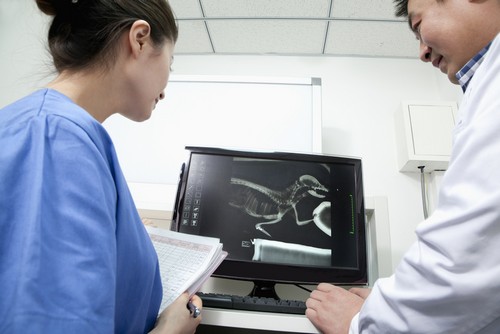 Advanced Digital X-rays  Novato, CA