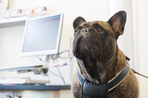 In-House Laboratory  Novato, CA