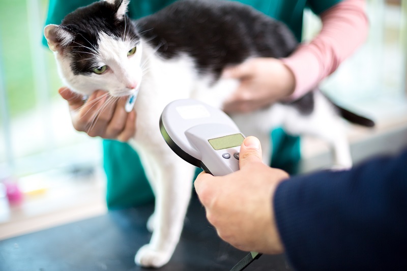 Microchipping  Novato, CA