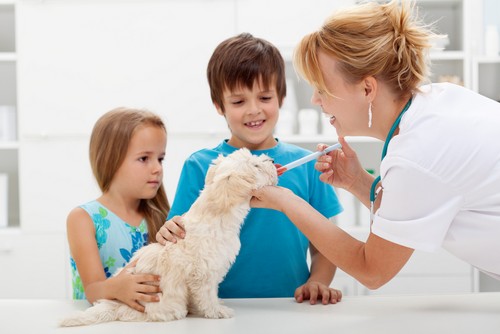 Vaccinations  Novato, CA
