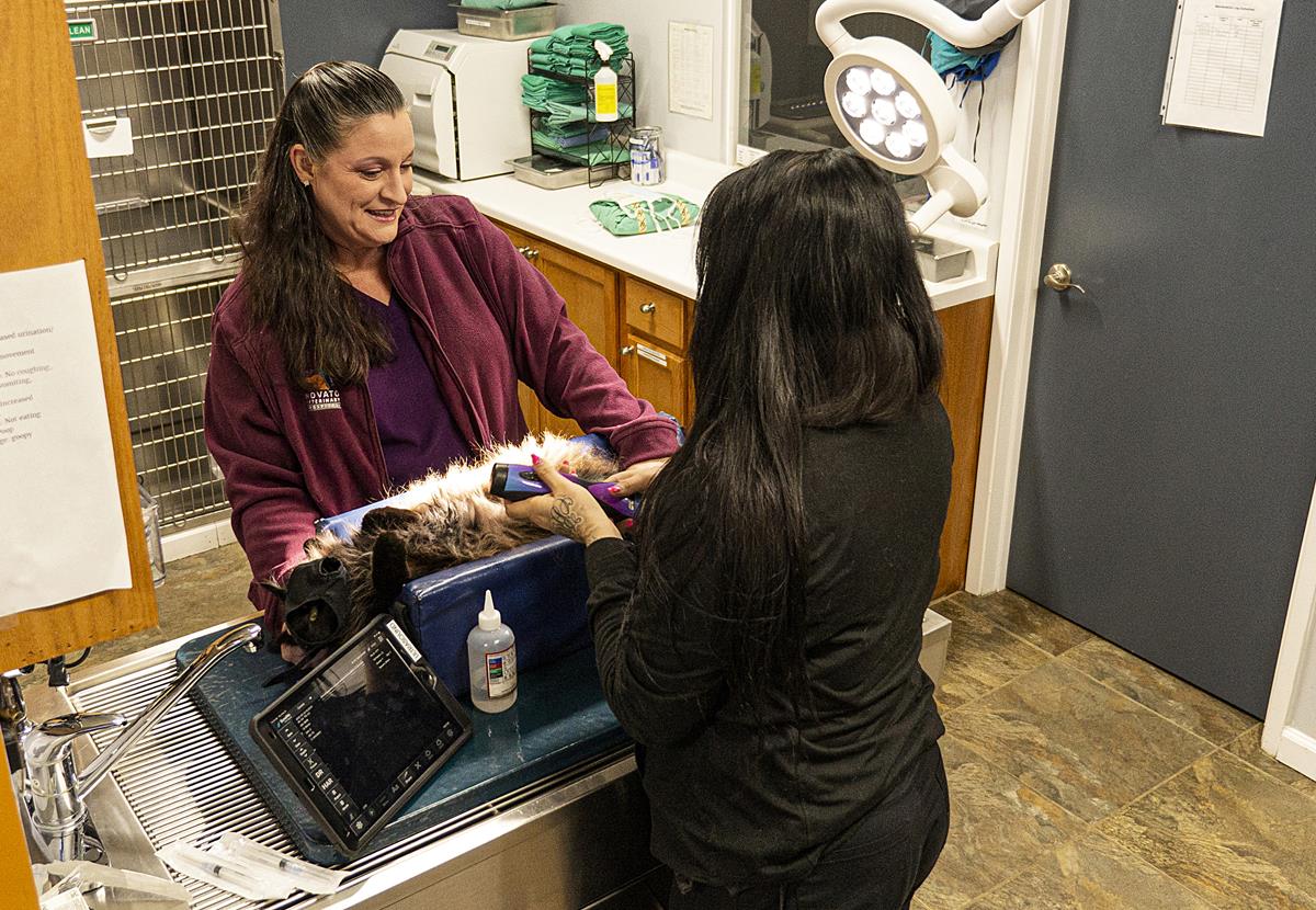 veterinary services  Novato, CA