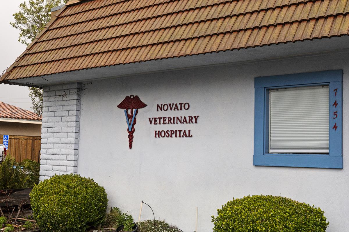 about our veterinary practice  Novato, CA